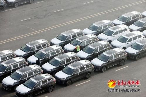 国产图片综合,捕捉时代光影，展现民族风采